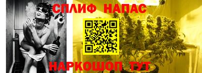 гашик Краснодар