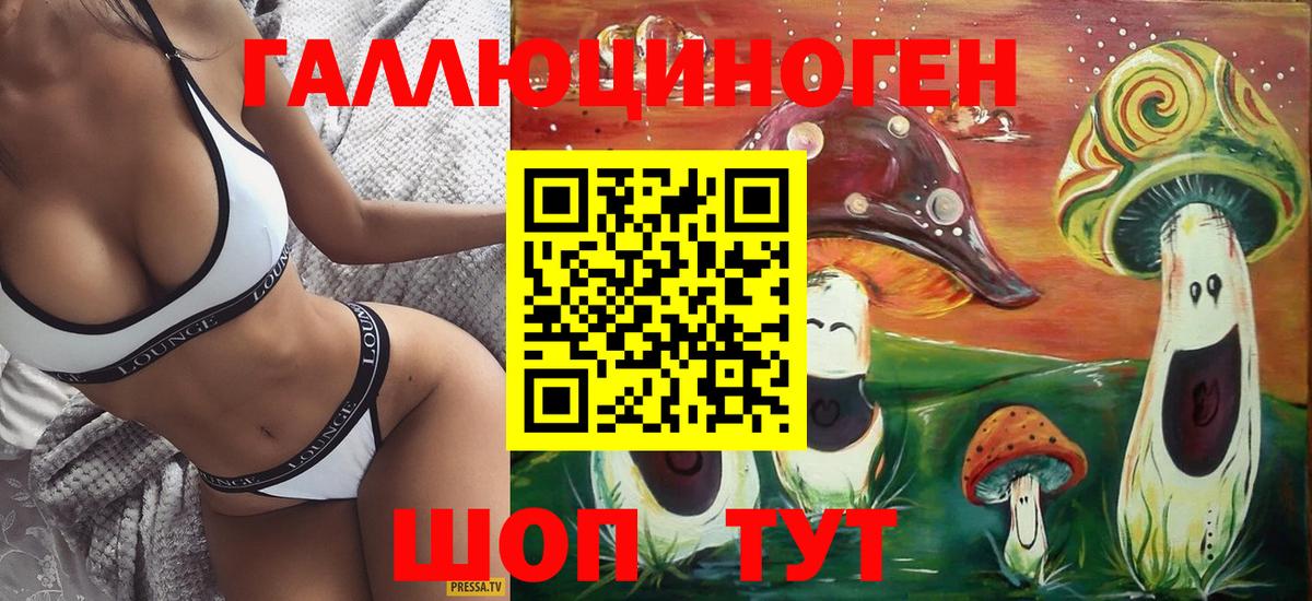 Кингисепп  Галлюциногенные грибы ЛСД  Псилоцибиновые грибы Magic Shrooms  Вход с VPN 