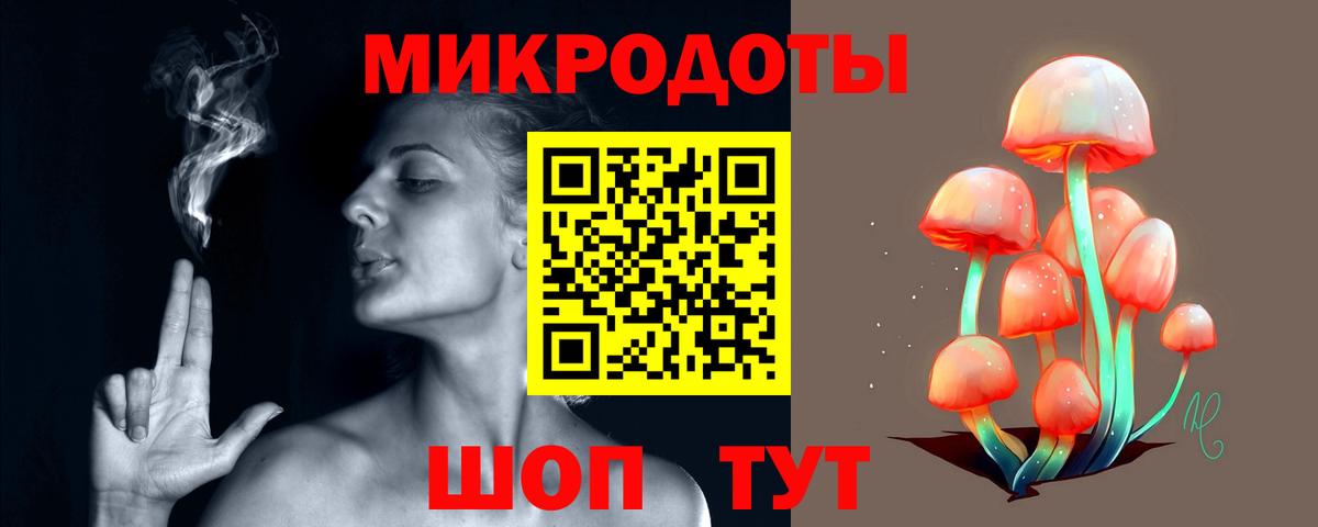 Галлюциногенные грибы Cubensis Кингисепп